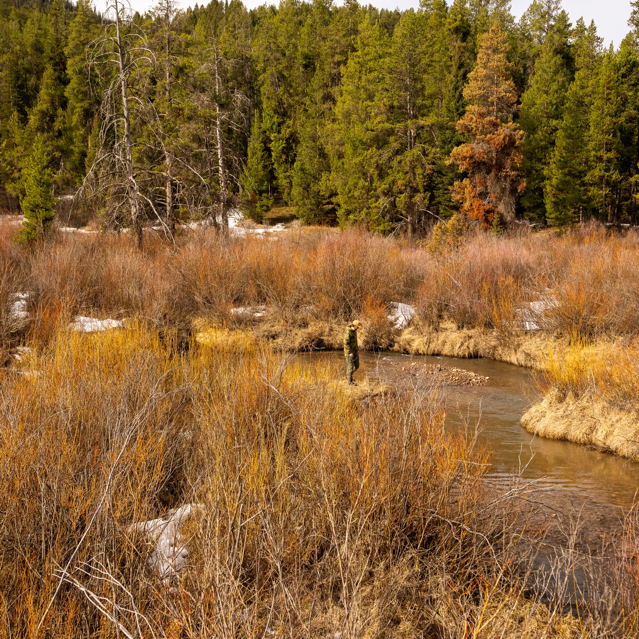 QILO x AP Retro Windbreaker in Norwegian Woodland