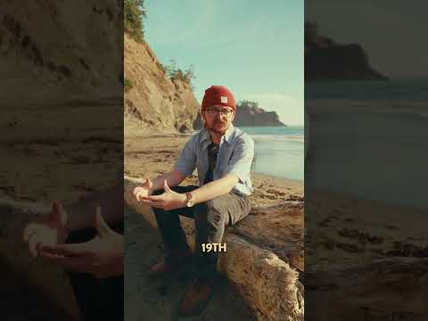 Load video: Deadstock Long Sleeve Chambray Utility Shirt