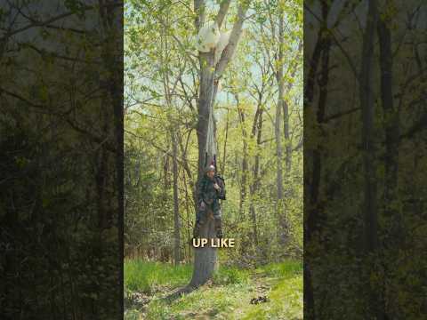 Load video: Issued French Army Parachutist Hook Knife