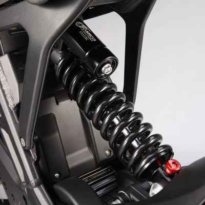 E Ride Pro SS 3.0 Electric Bike - 2026