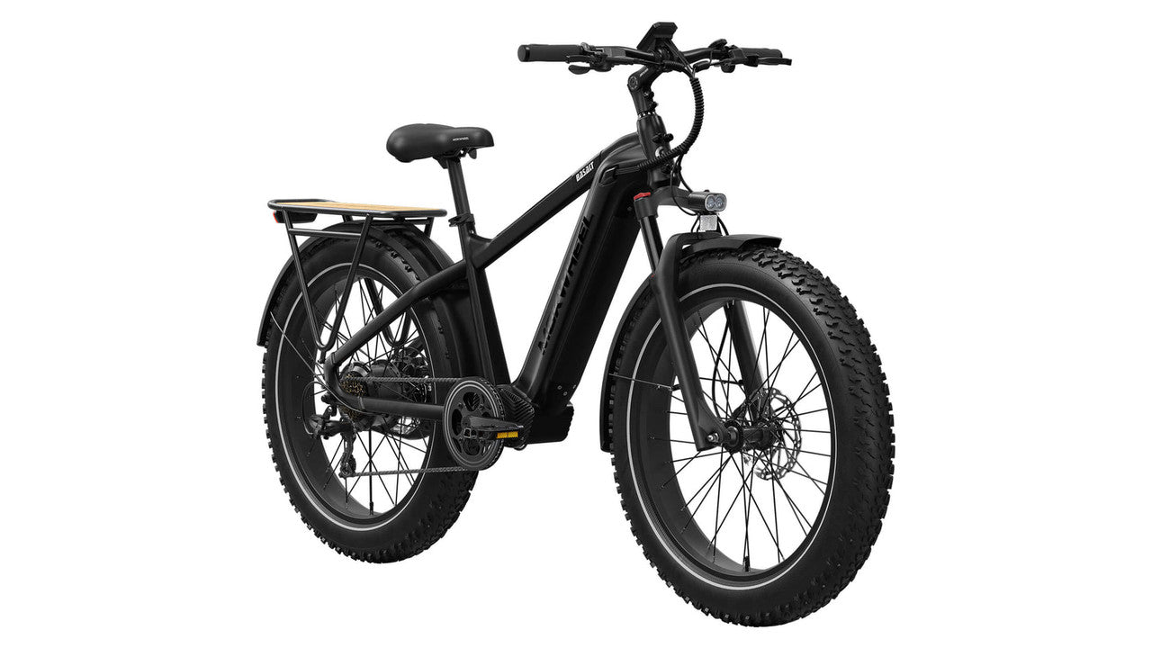 Mokwheel Basalt Fat Tire