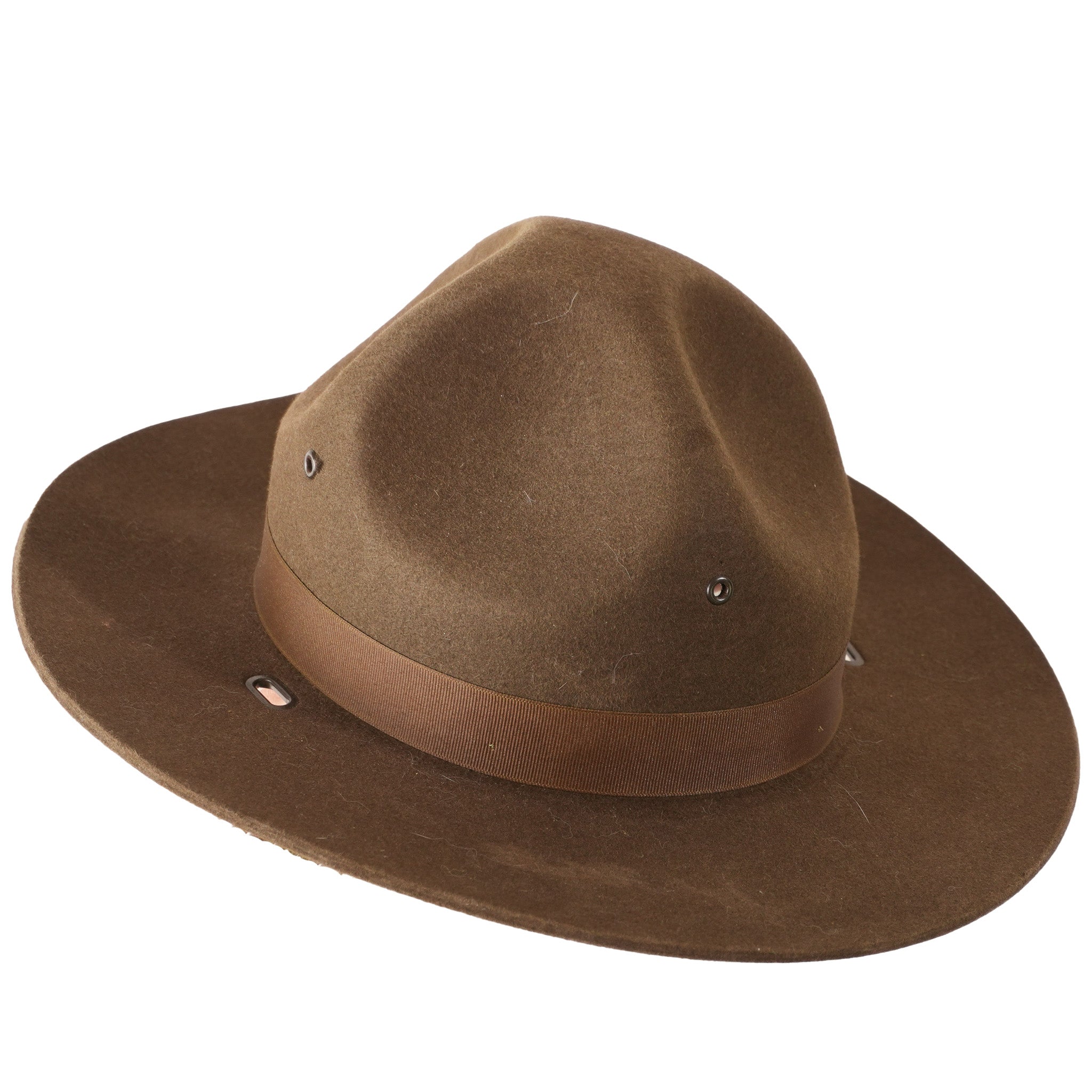 Issued USGI Drill Sergeant Hat