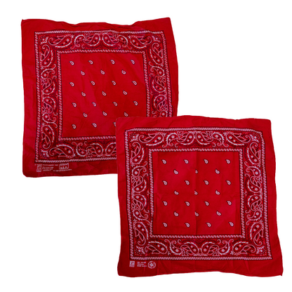 Vintage USA-Made Paisley Bandana