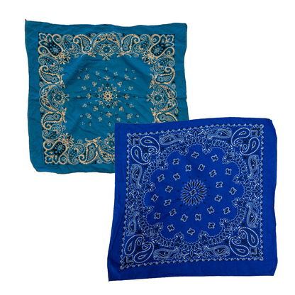 Vintage USA-Made Paisley Bandana