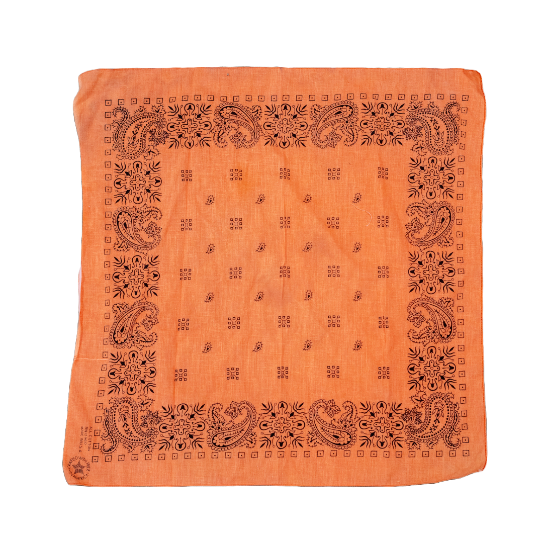 Vintage USA-Made Paisley Bandana