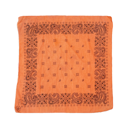 Vintage USA-Made Paisley Bandana