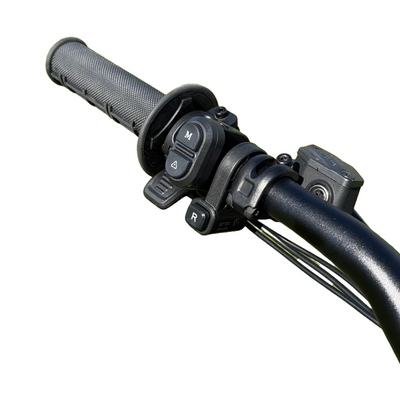 E Ride Pro SR Electric Bike - 2026