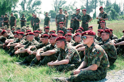 Issued Romanian M1990 "Leaf"/1994 "Fleck" Field Shirt